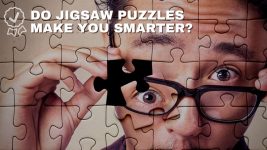 Machen Puzzles schlauer?